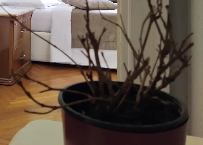 Lorvand N Maison d'hôtes 4*